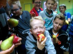 Dzien Owocu 2015 - 12